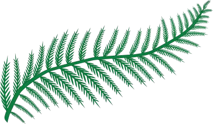 Illustration of a Green Fern Leaf