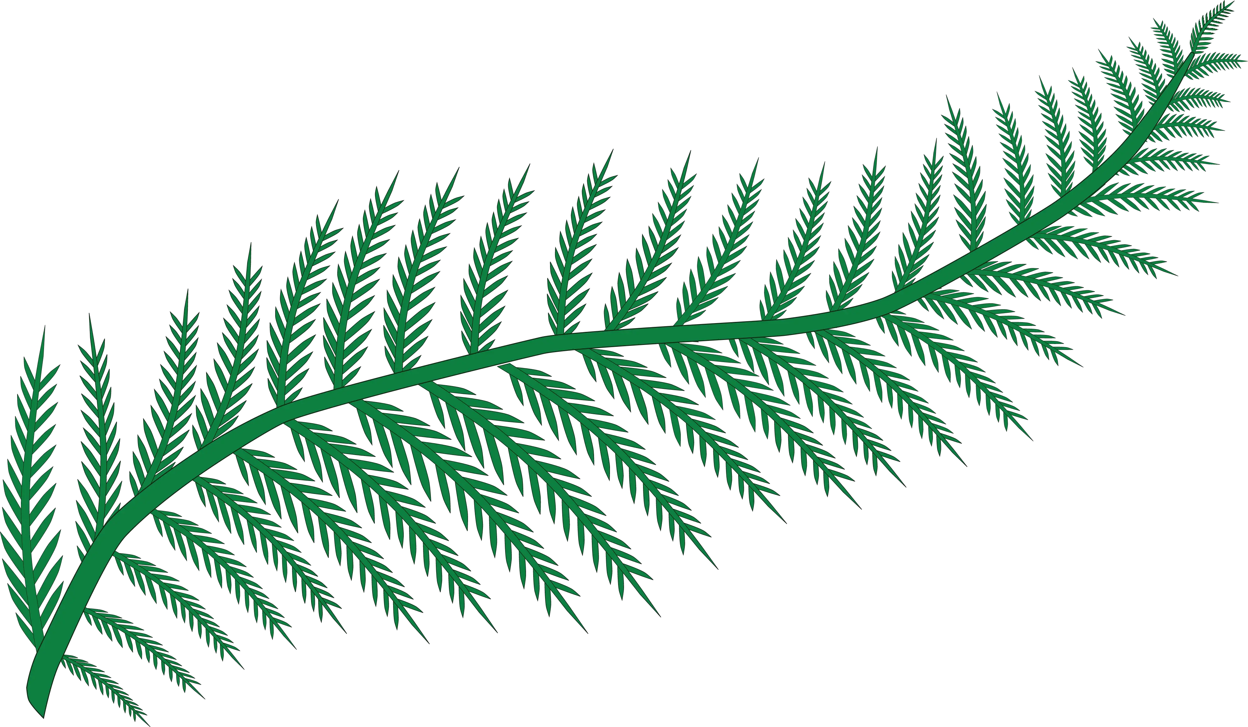 Illustration of a Green Fern Leaf