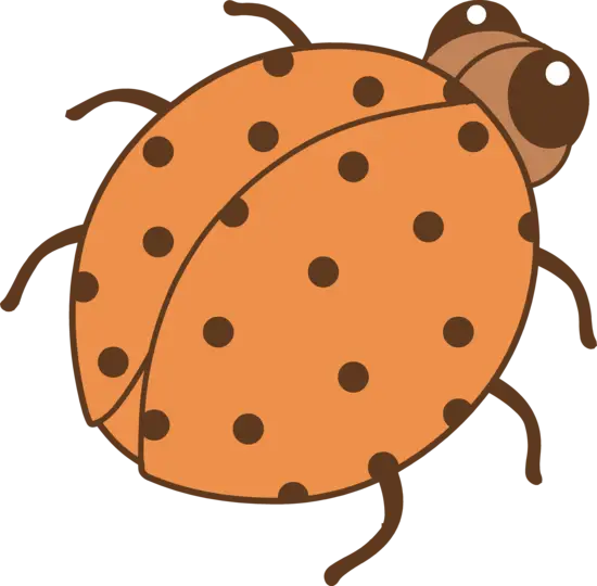 Cute Cartoon Ladybug Illustration