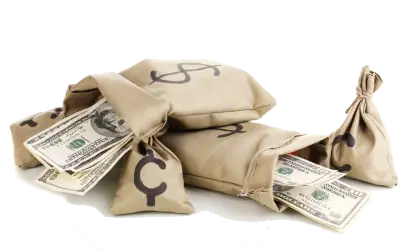 Money Bags with Cash