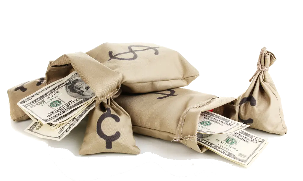Money Bags with Cash