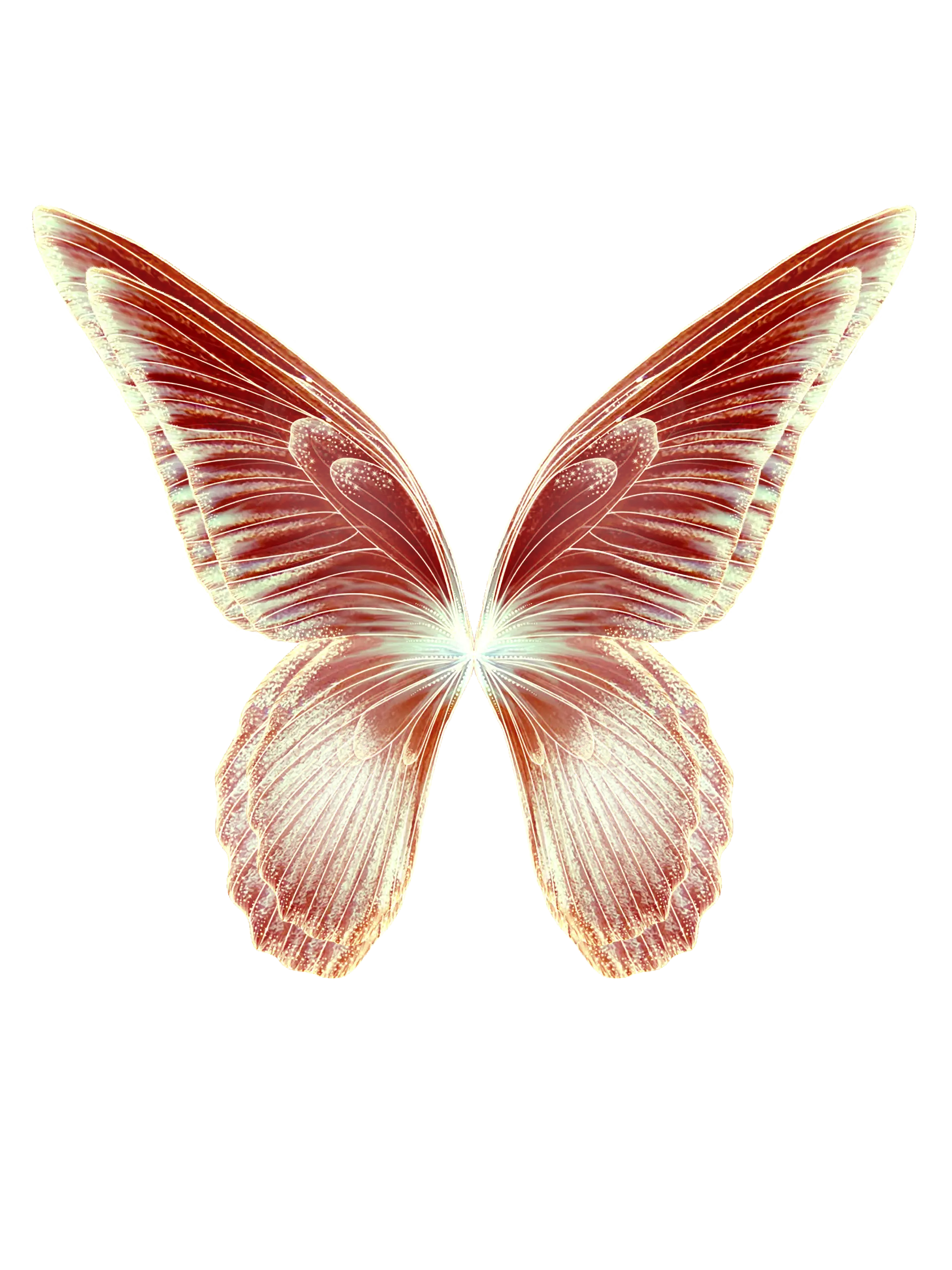 Beautiful Butterfly with Detailed Wings