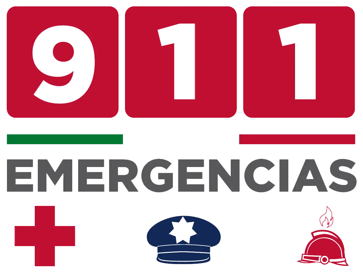 911 Emergency Services