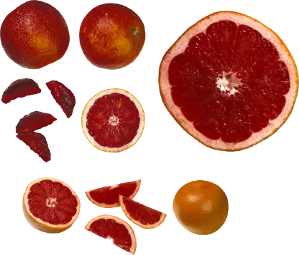 Fresh Red Grapefruit Slices