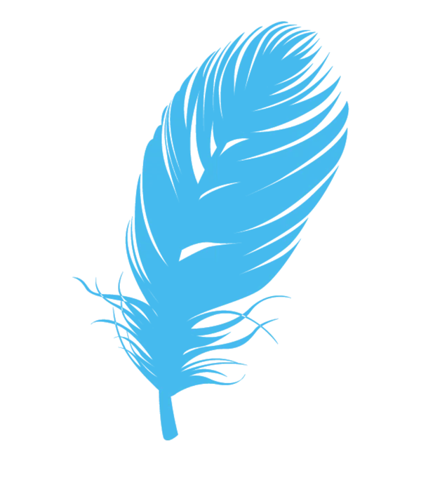 Delicate Blue Feather