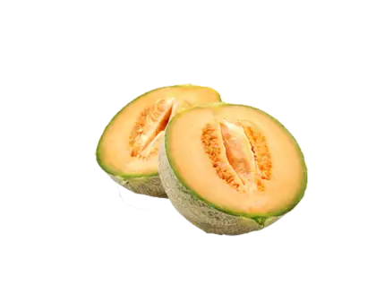 Sliced Fresh Cantaloupe Fruit Illustration