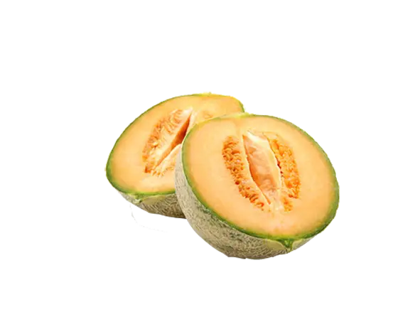 Sliced Fresh Cantaloupe Fruit Illustration
