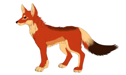 Red Wolf Digital Illustration