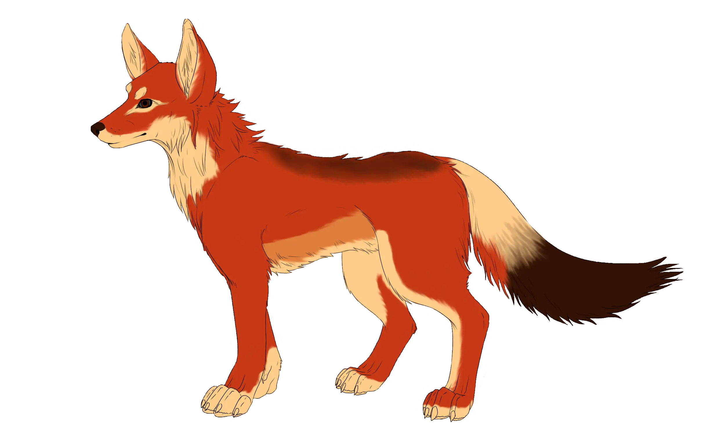 Red Wolf Digital Illustration