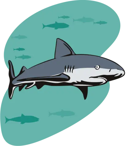 Cartoon Shark Illustration in Ocean Scene