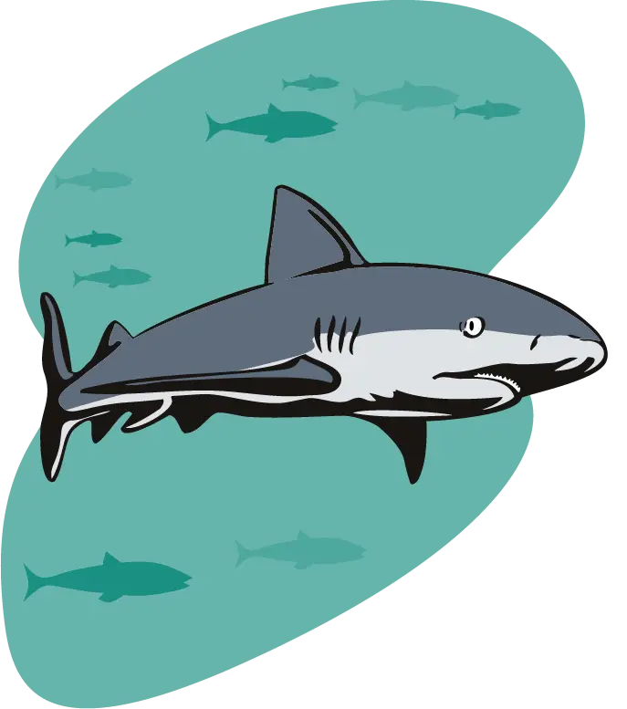 Cartoon Shark Illustration in Ocean Scene