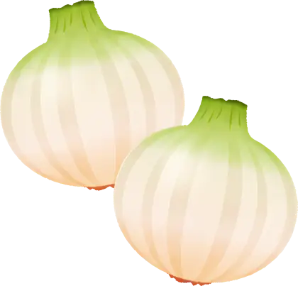 Illustration of Fresh White Onions
