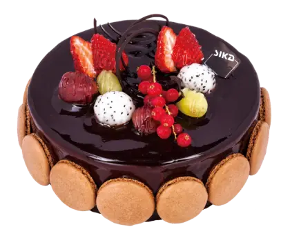 Delicious Chocolate Cake with Fruits