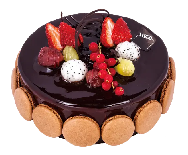 Delicious Chocolate Cake with Fruits