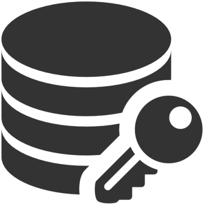Database and Key Icon Representing Security