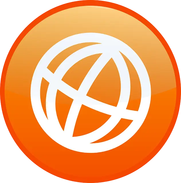Orange Globe Icon