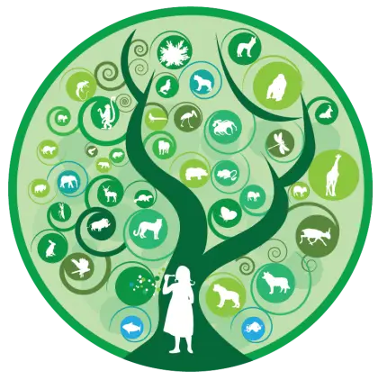 Tree of Life Illustration with Animals