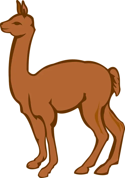 Brown Cartoon Llama Illustration