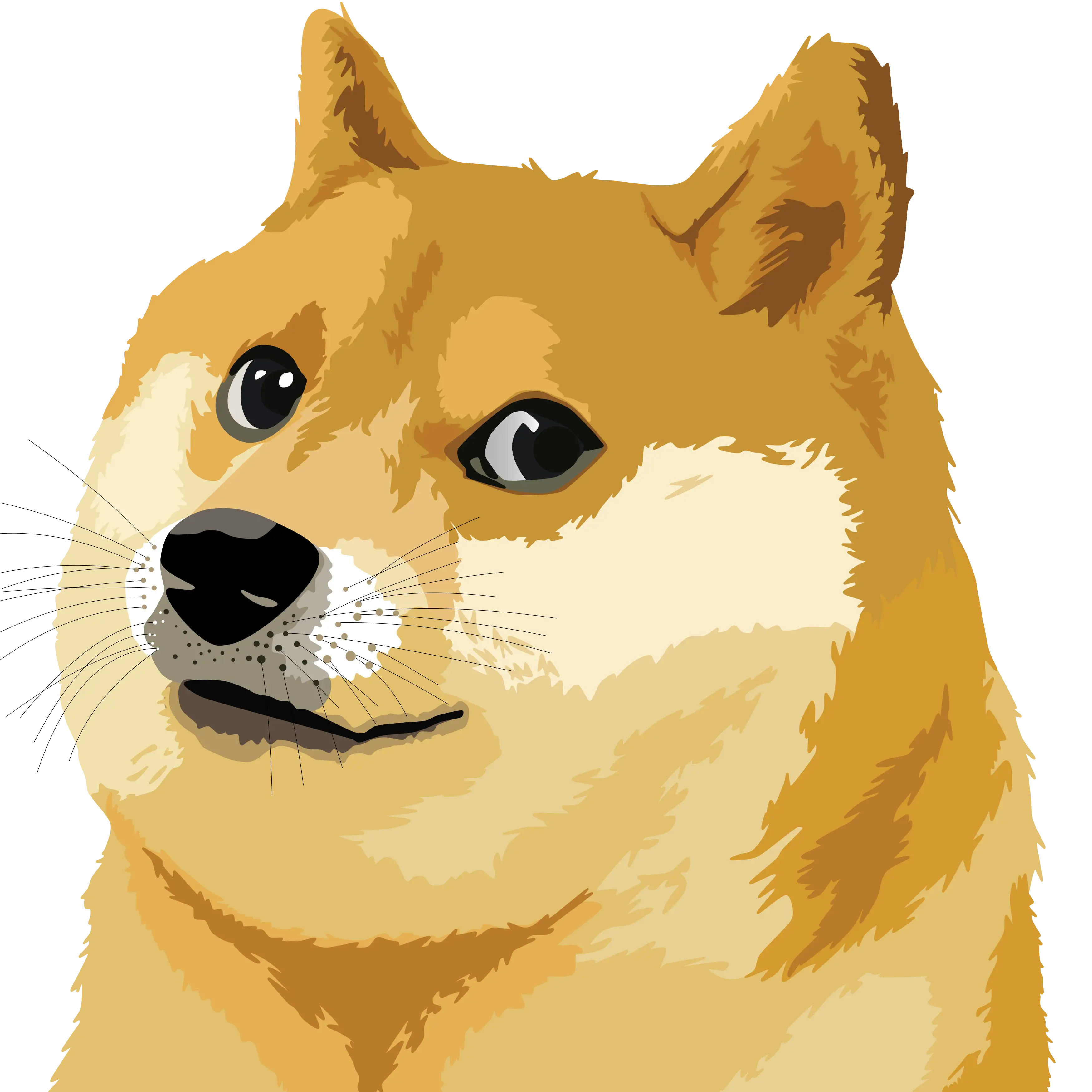 Doge Shiba Inu Meme Illustration