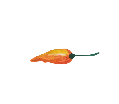 Yellow Chili Pepper Illustration