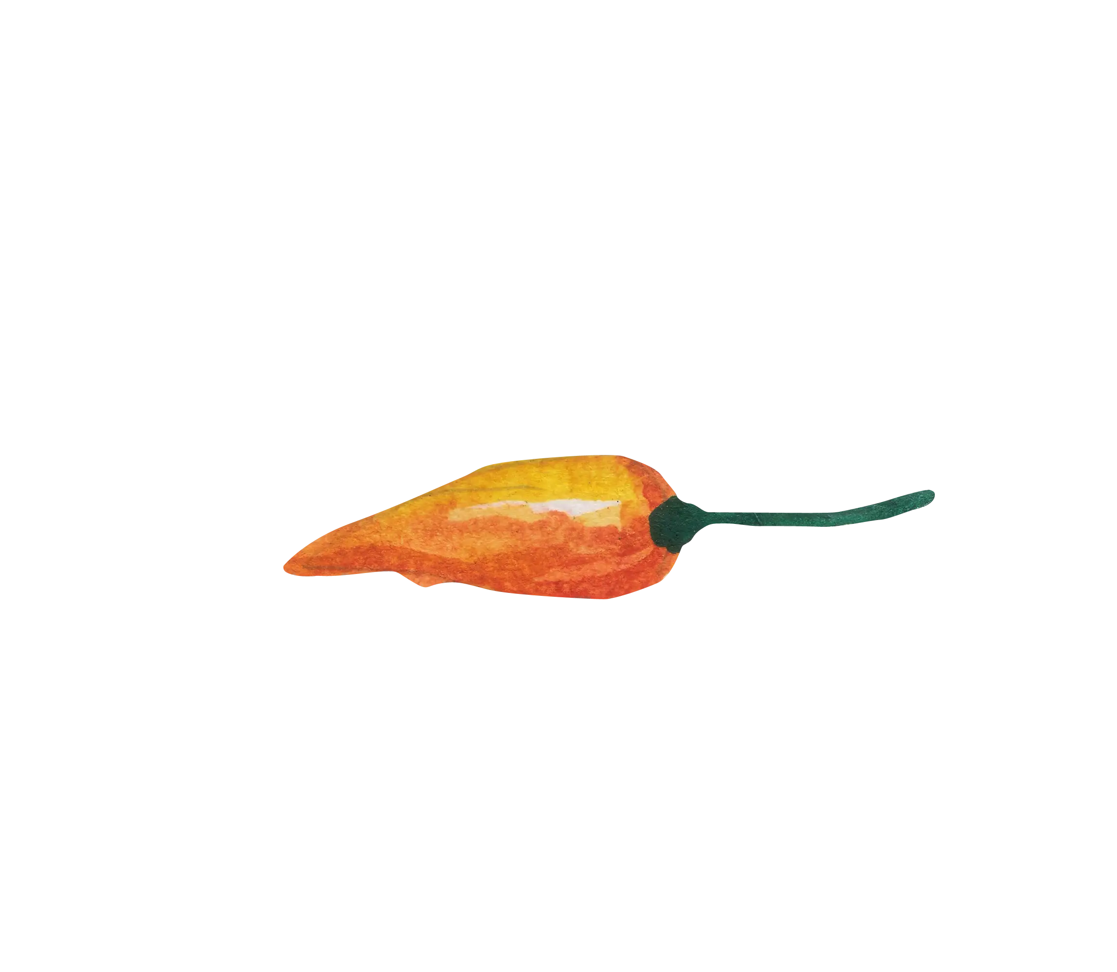 Yellow Chili Pepper Illustration