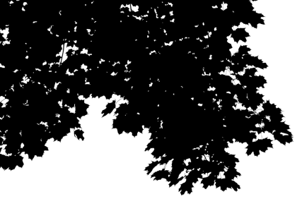 Black Tree Silhouette