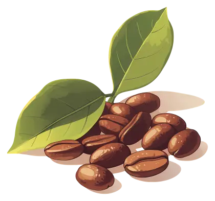 Coffee Beans with Green Leaves Illustration