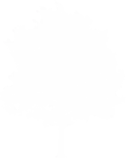 Silhouette Tree on Transparent Background