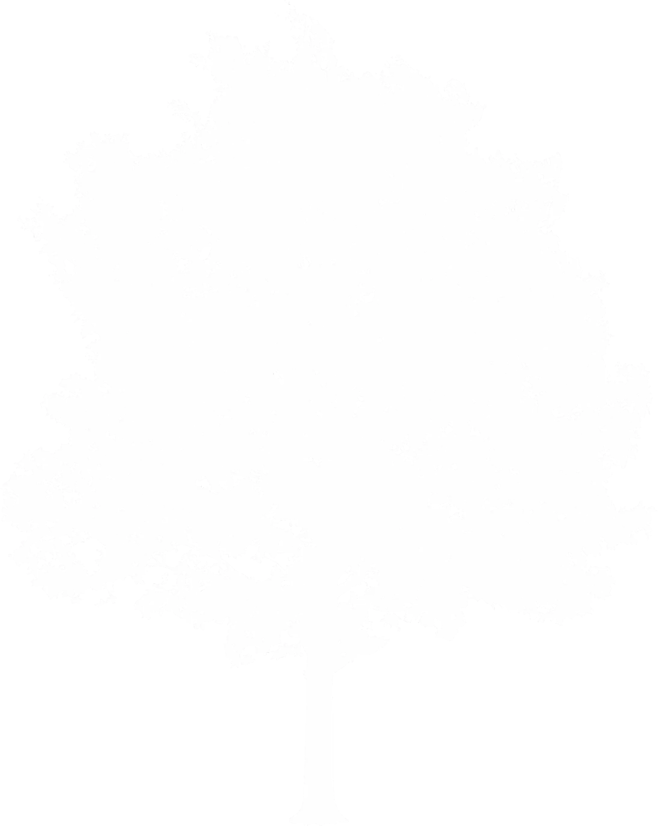 Silhouette Tree on Transparent Background