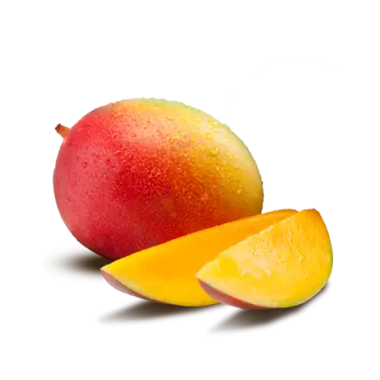 Juicy Mango with Slices