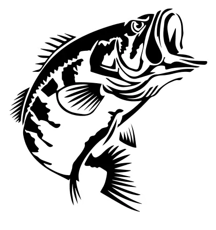 Black and White Fish Illustration