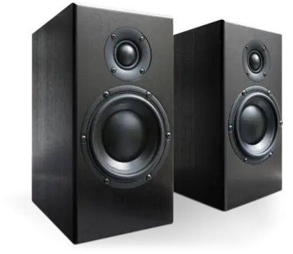 Black Speaker System
