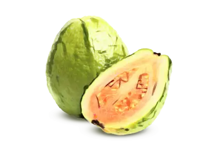 Fresh Green Guava with Sliced Inside