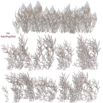 Snowy Winter Bushes