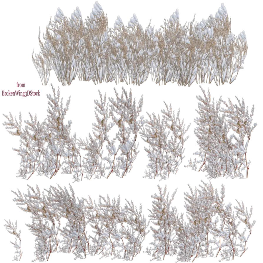Snowy Winter Bushes