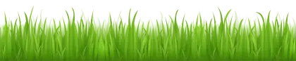 Green Grass