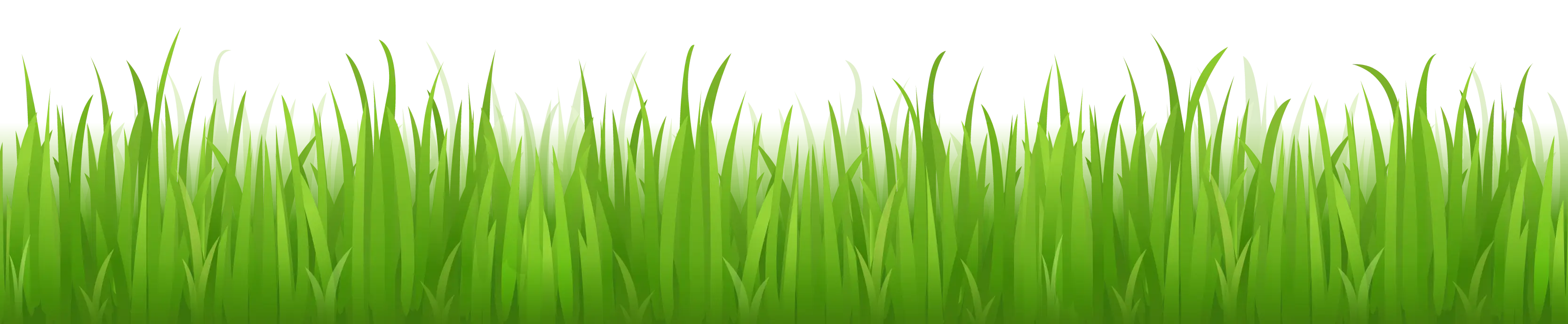 Green Grass