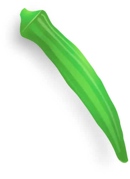 Fresh Green Okra Vegetable