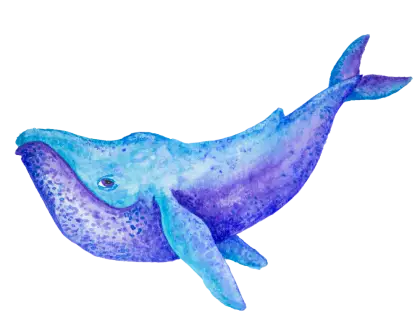 Blue Watercolor Whale Illustration