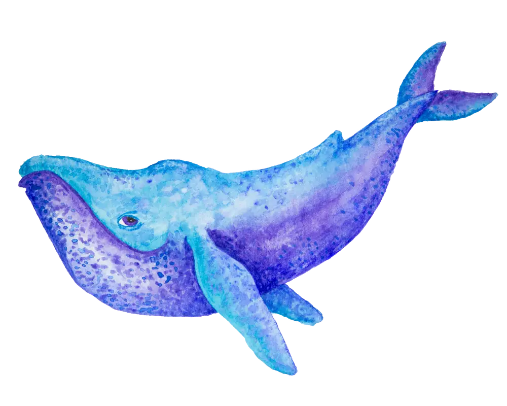 Blue Watercolor Whale Illustration