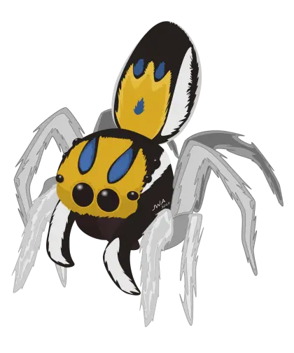 Colorful Cartoon Spider