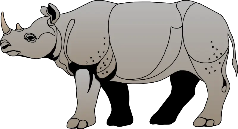 Cartoon Illustration of a Rhinoceros
