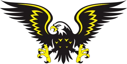 Bold Black and Yellow Eagle Symbol