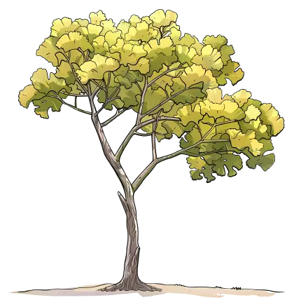 Tree with Vibrant Yellow Leaves Illustration