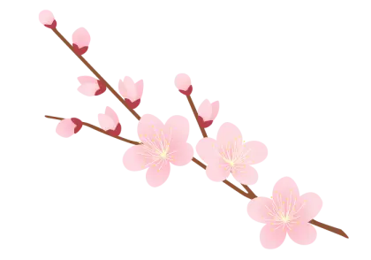 Pink Cherry Blossom Branch in Elegant Design