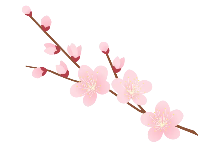Pink Cherry Blossom Branch in Elegant Design