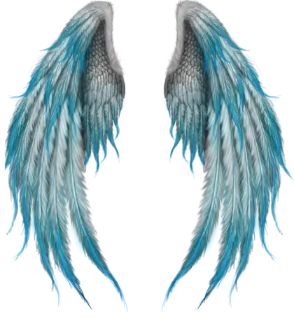 Blue and Grey Feathered Wings