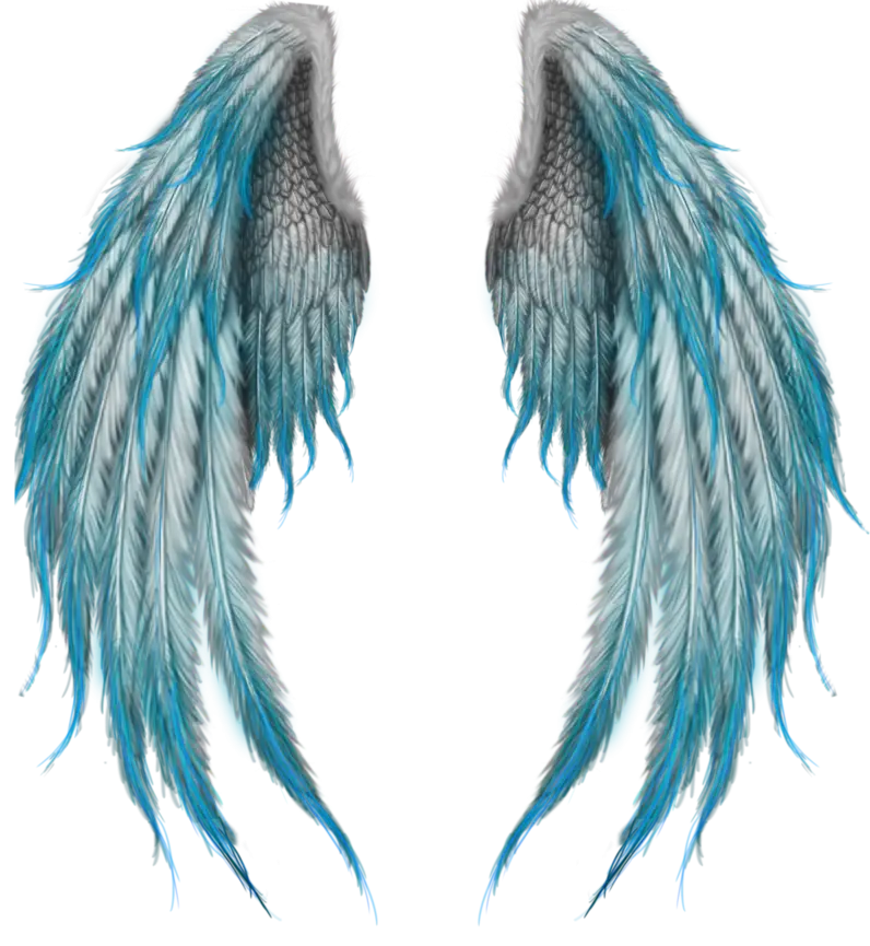 Blue and Grey Feathered Wings