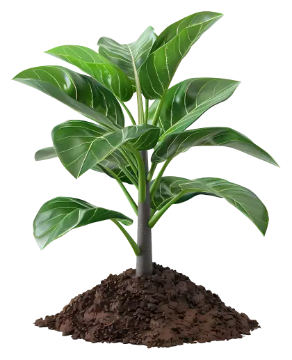 Green Plant Growing in Soil Illustration