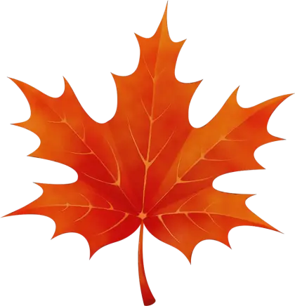 Vibrant Red Maple Leaf Illustration